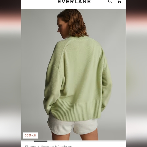 Everlane The Cashmere Oversized Turtleneck Seafoam Green - Picture 3 of 10